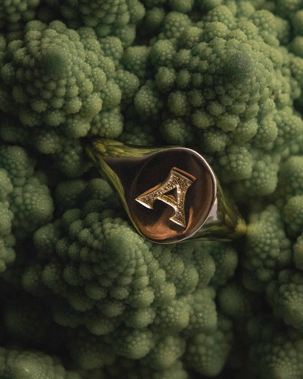 Oval Signet Ring [Vintage] — another angle