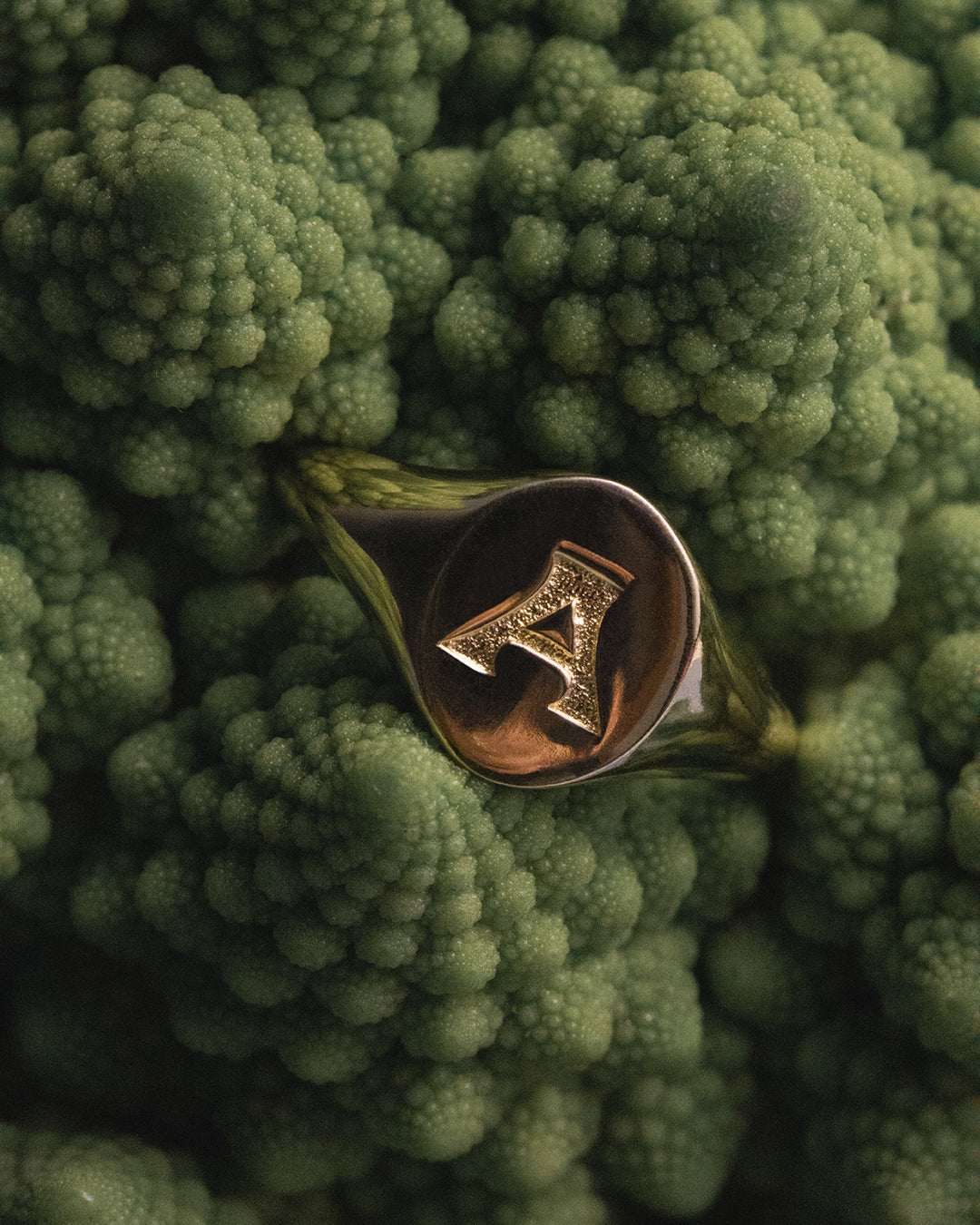 Oval Signet Ring [Vintage] — another angle