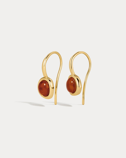 Amber Honey Hook Earrings in Gold