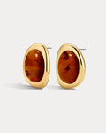 Amber Honey Resin Studs in Gold - Earrings