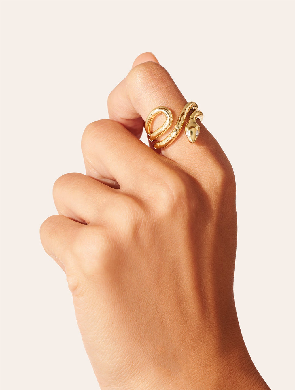 Règne Ring - Animal - Snake - detail view