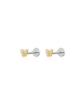 Butterfly Studs in Gold - Earrings