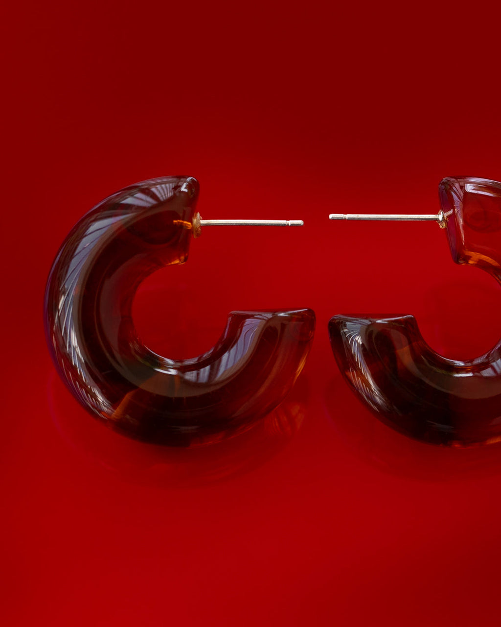 Tortoise Noemi Hoops — alternate view