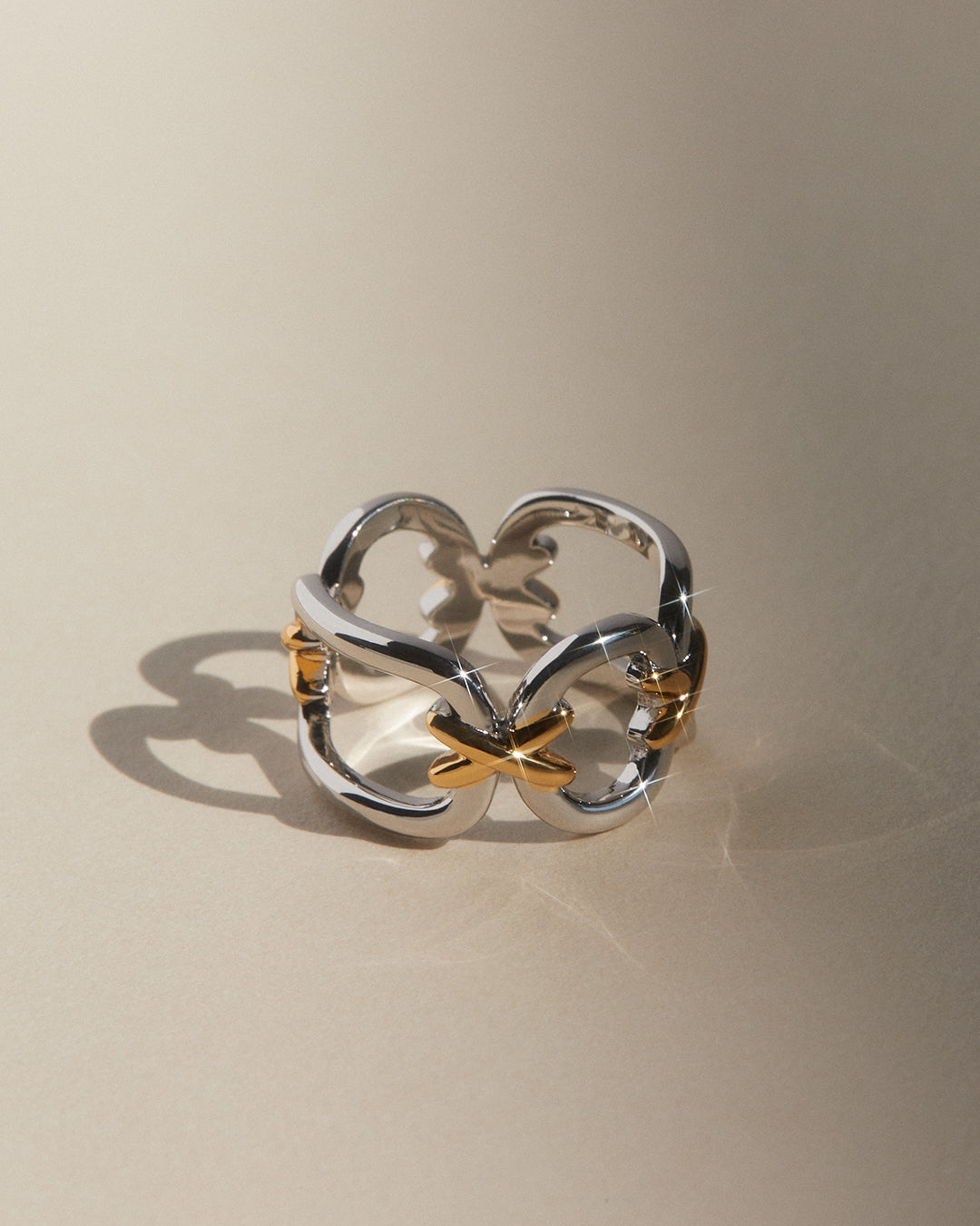 Two-Tone Chain Ring — detail view