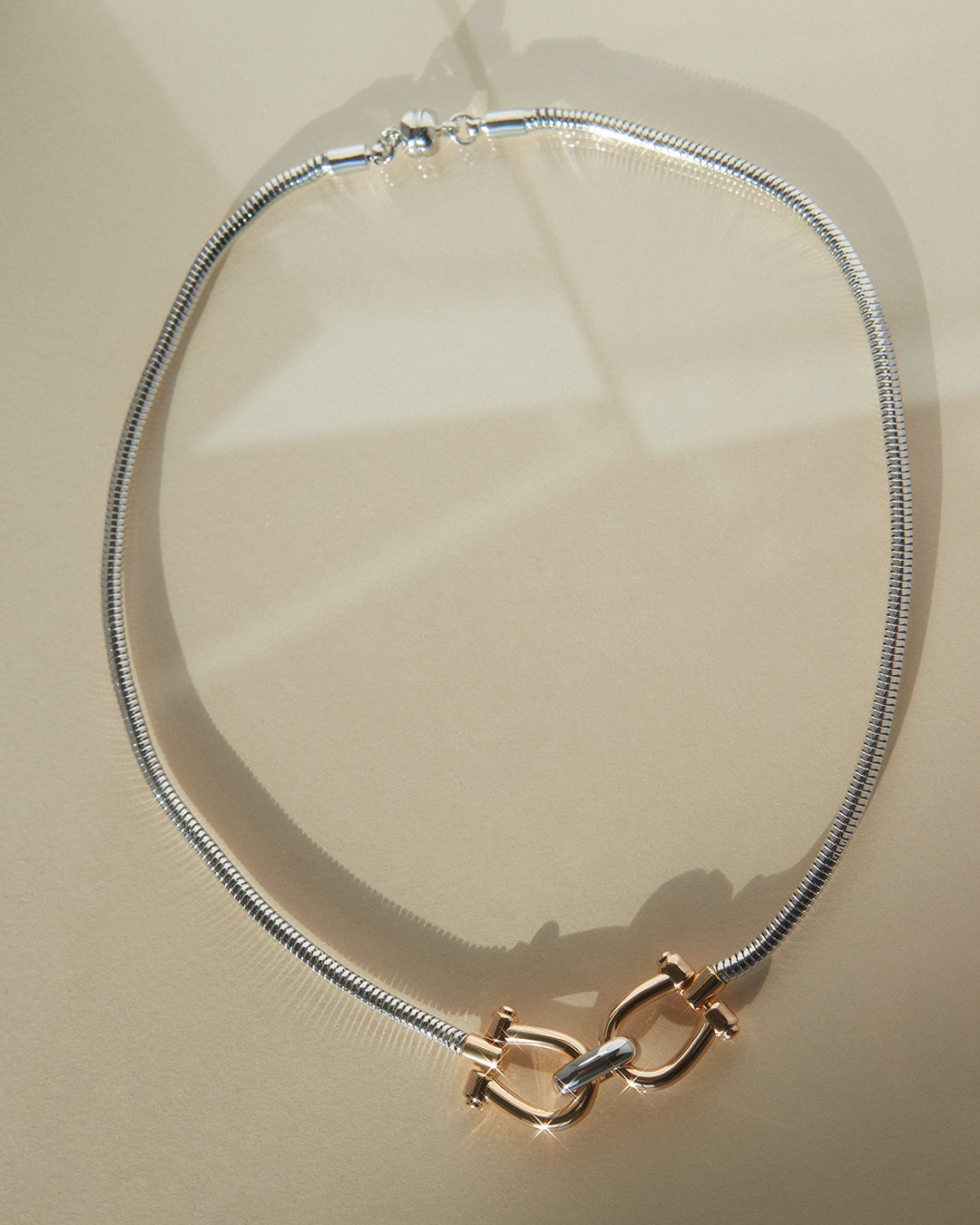 Two-Tone Horsebit Necklace — detail view 2