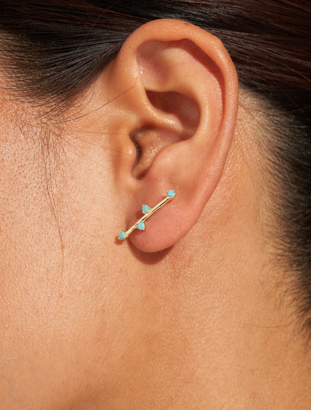 Delia Earrings - Turquoise - alternate view