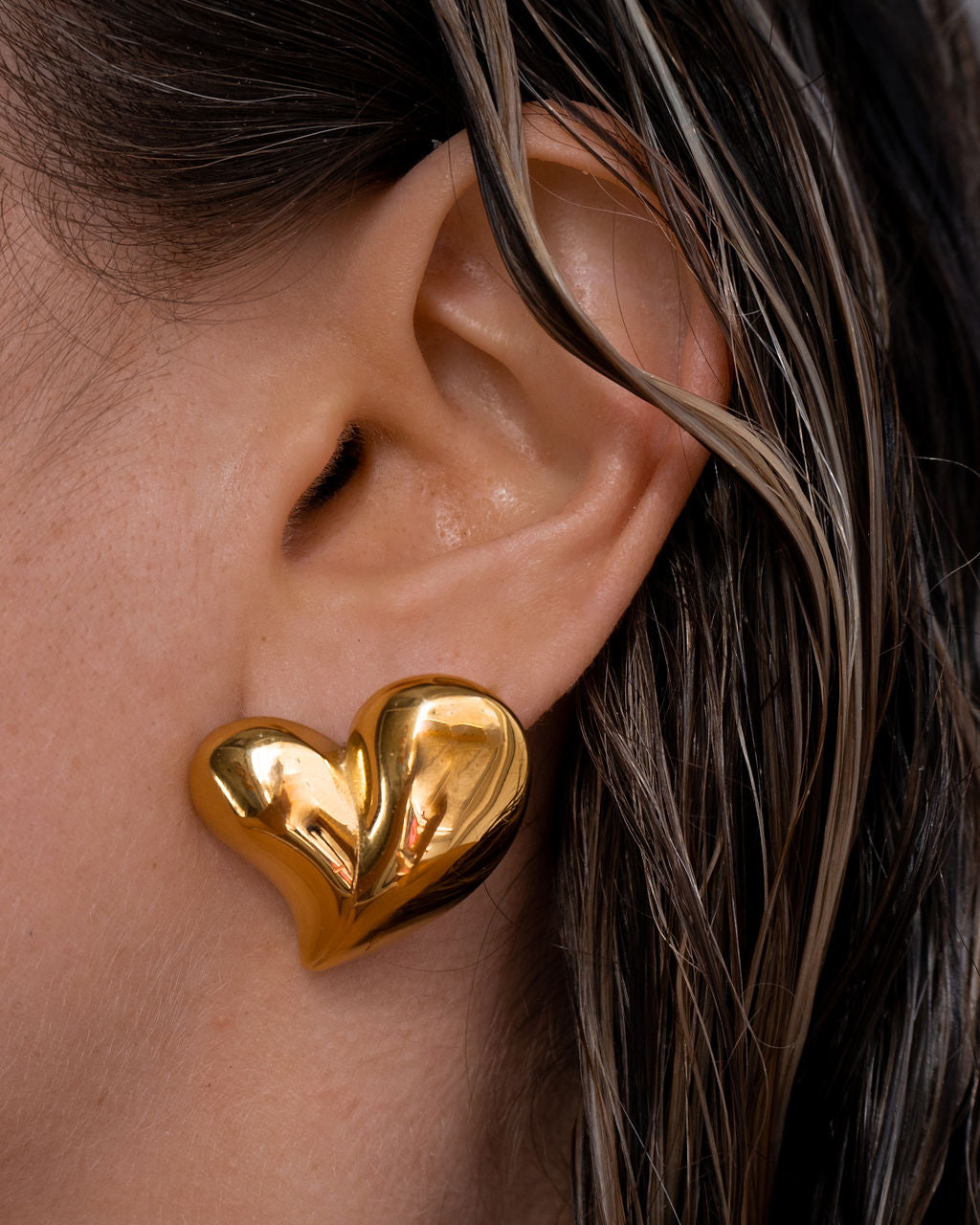 Sweetzer Earrings — detail view